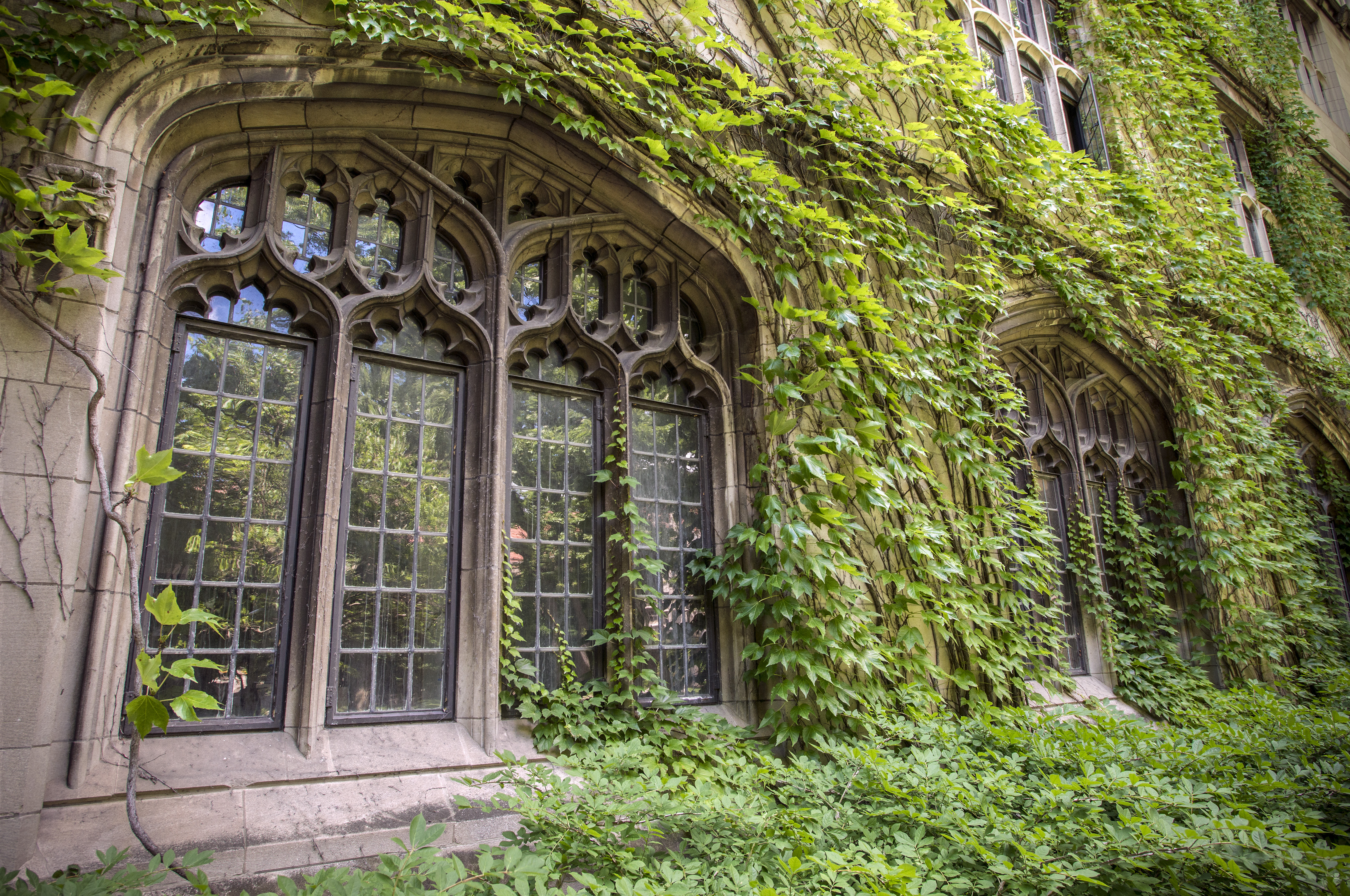 Photo of the Social Sciences Research Building on UChicago's Hyde Park campus